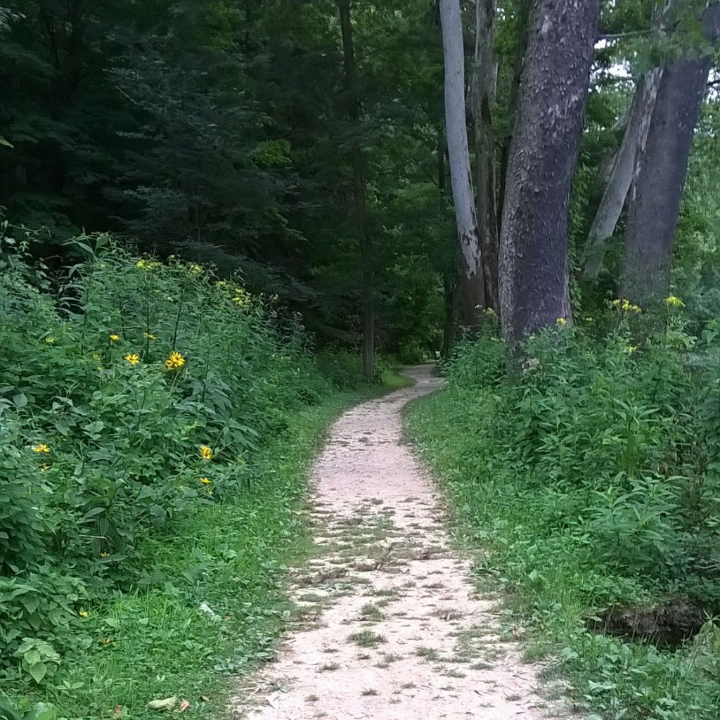 northeast ohio woods trail path neodruwid druwid